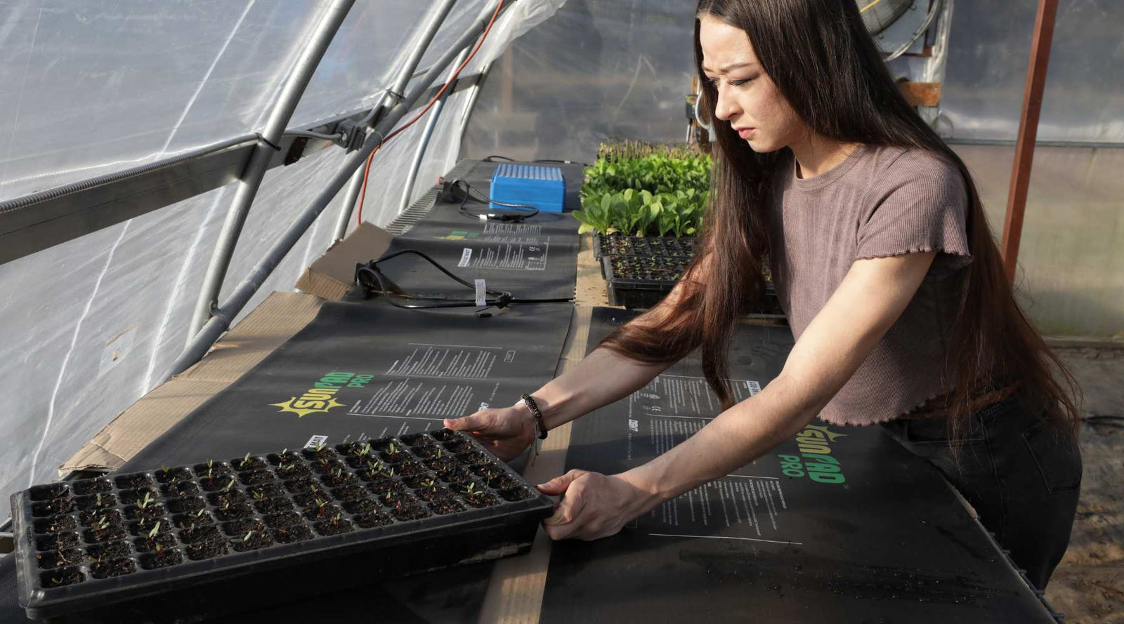 How to Use Heat Mats for Starting Seeds - Bootstrap Farmer