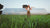 How to Test Soil pH Before Planting — and Why You Should