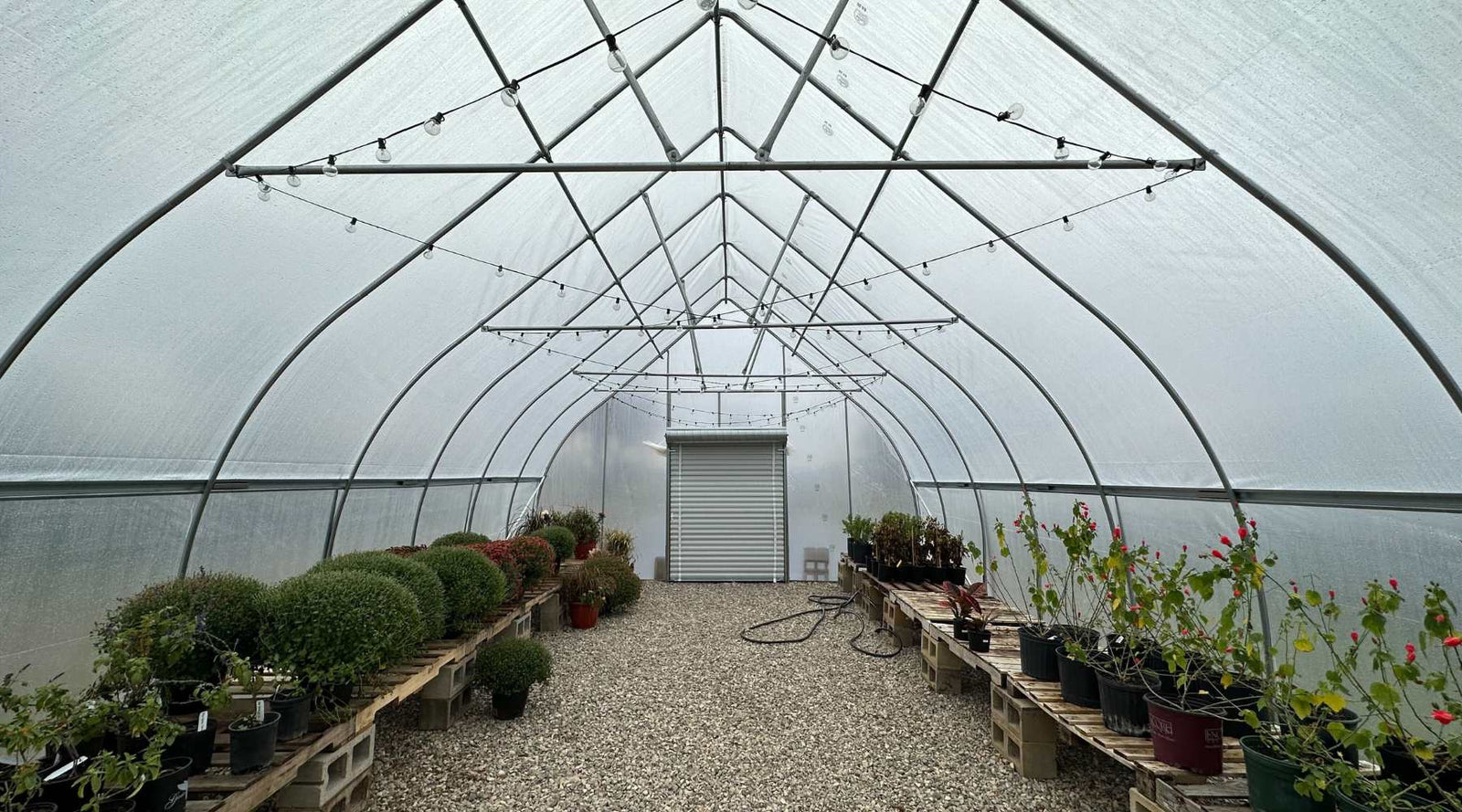 hoop house high tunnel
