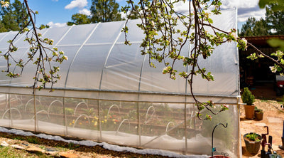10 Effective Crop Protection Techniques Every Farmer Should Know