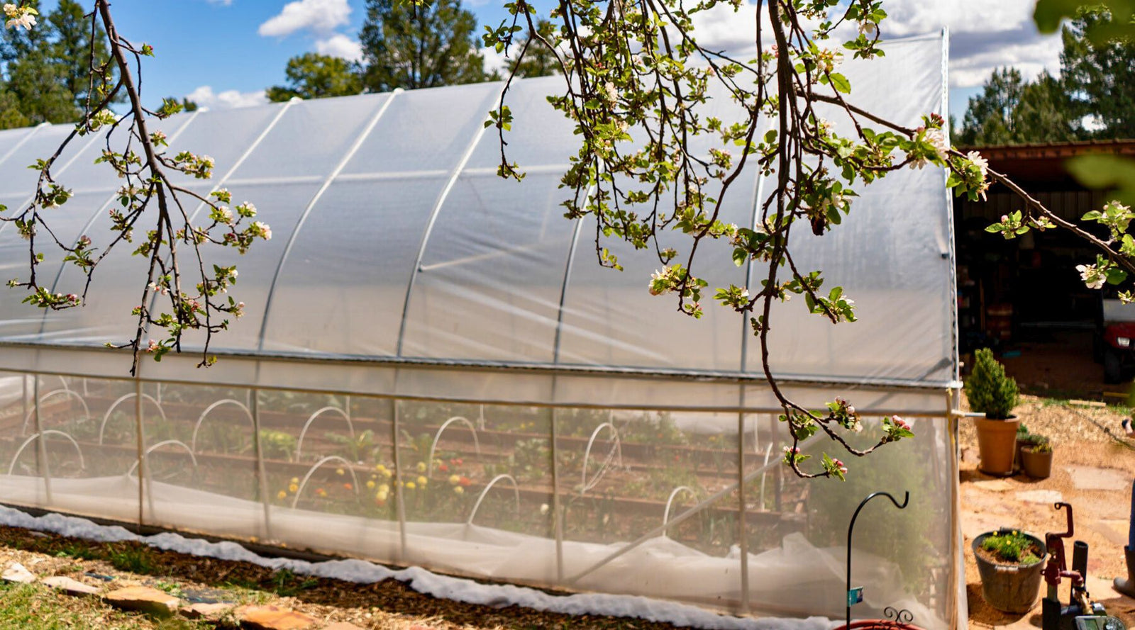 gothic high tunnel with rollup sides and low tunnels inside for extra protection on a farm