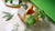 A small basket holding bunches of basil with sprigs of rosemary, sage and a green mesh tray in the background. 