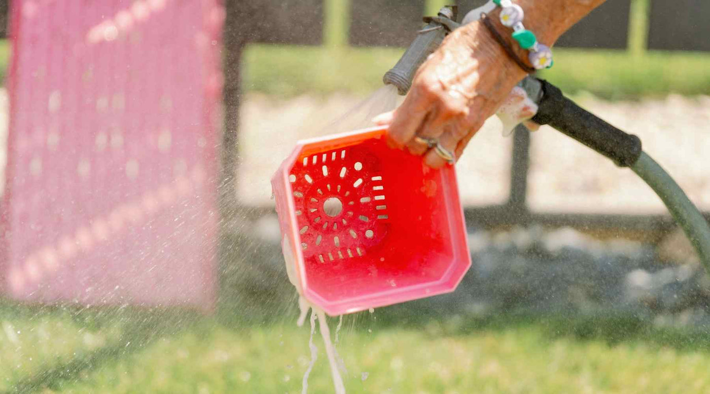 How to Wash and Care for Seedling Trays - Bootstrap Farmer