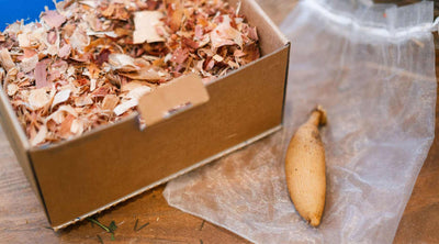 How to Successfully Start Dahlia Tubers Indoors: A Beginner's Guide