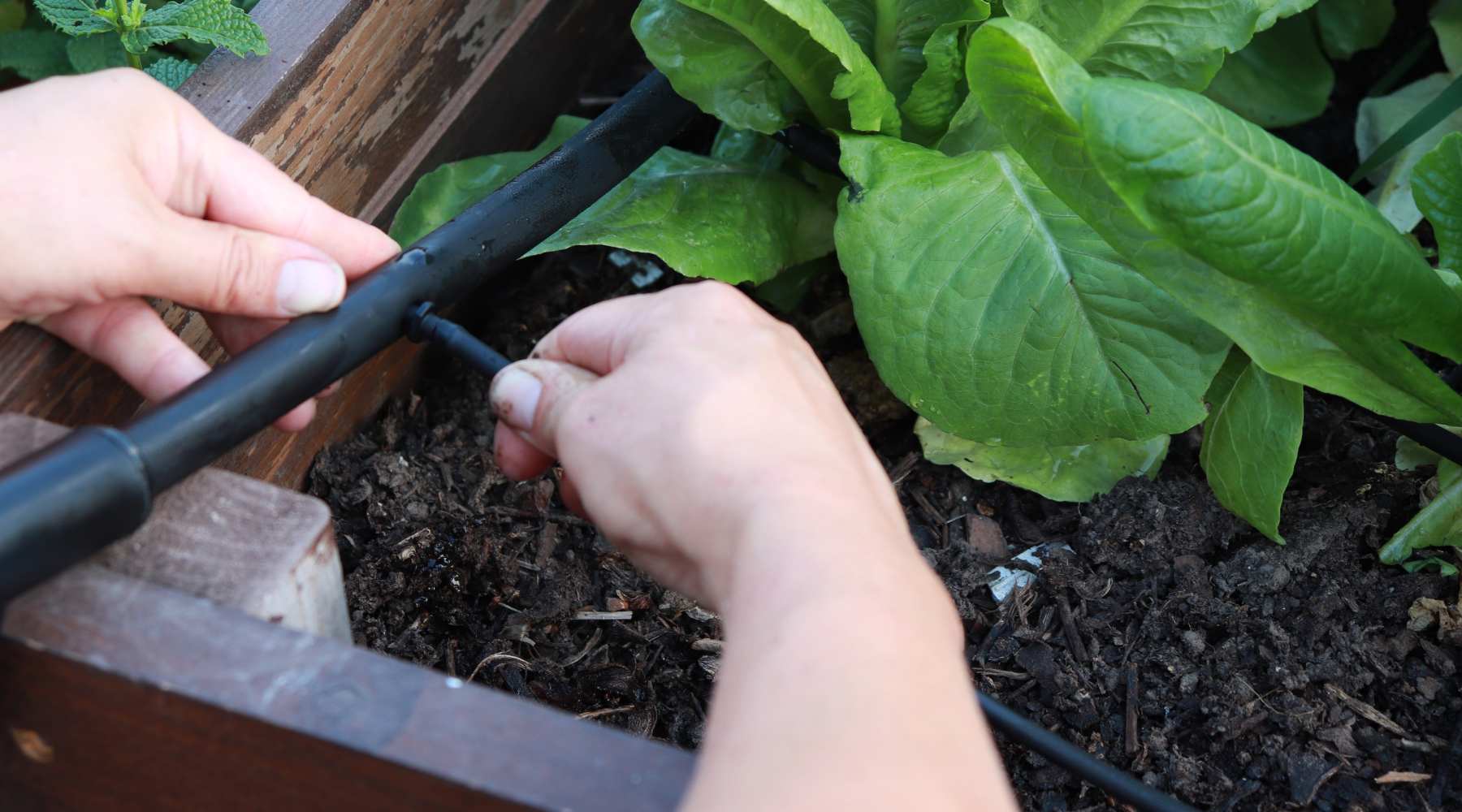 Container Drip Irrigation Systems