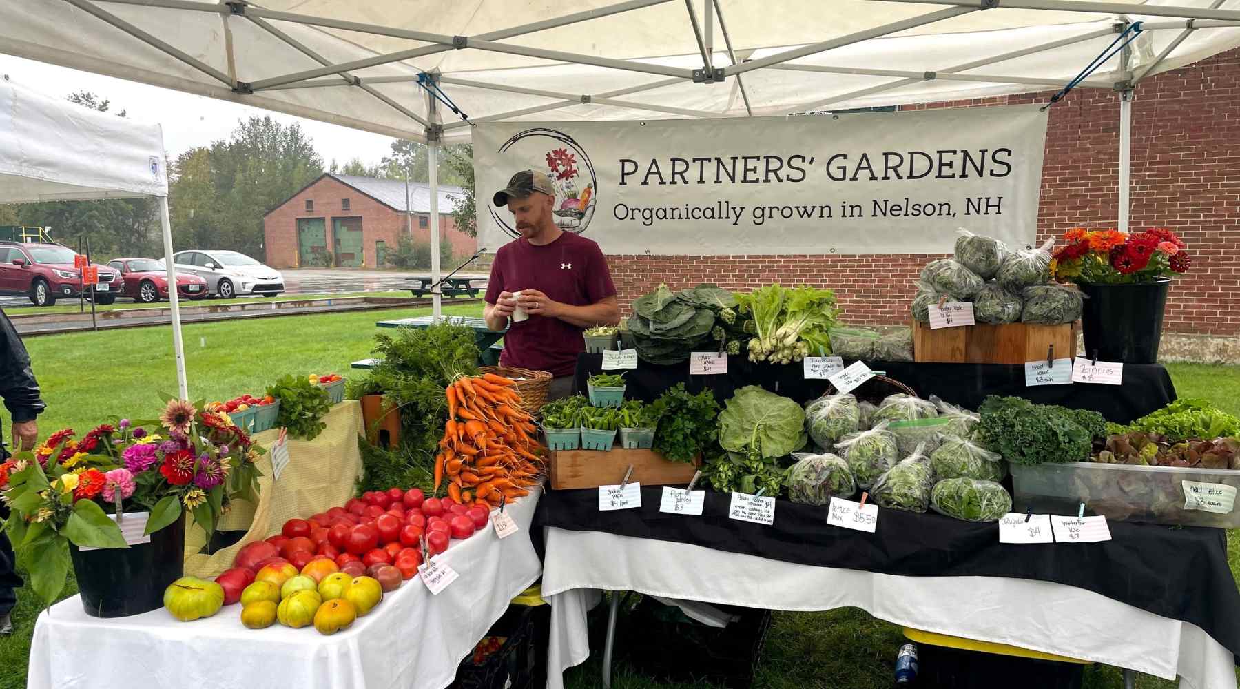 Farmers Market Booth bursting with carrots, tomatoes, greens, radishes 