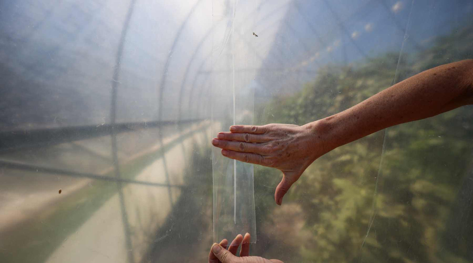  A close-up shot of hands applying clear repair tape to a small tear in greenhouse plastic. The person is pressing the tape down firmly to ensure a smooth application.