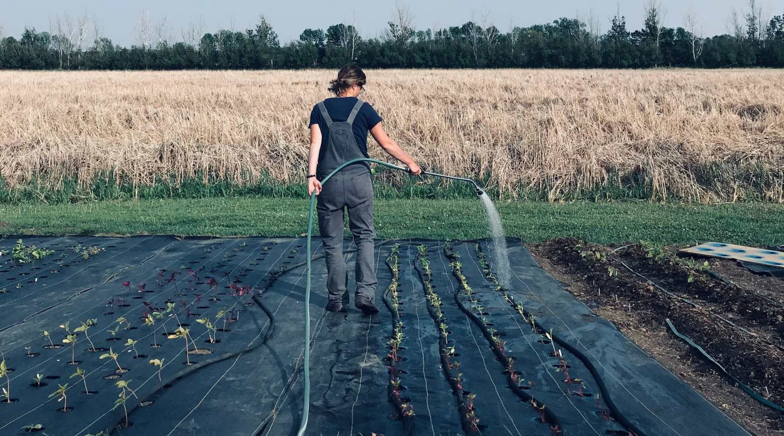 Flower bouquet getting folded in stripped craft paper.