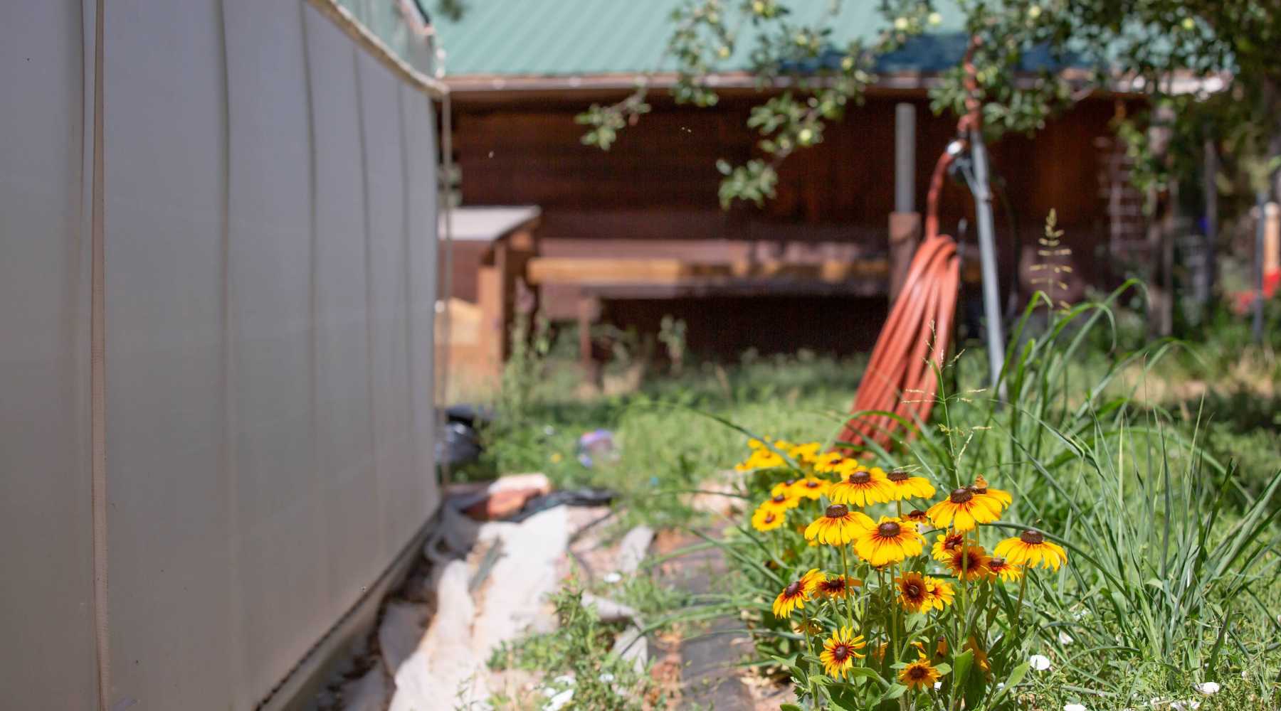 Frost free hydrant installed next to a hoop house with yellow and red flowers visible in the foreground. 