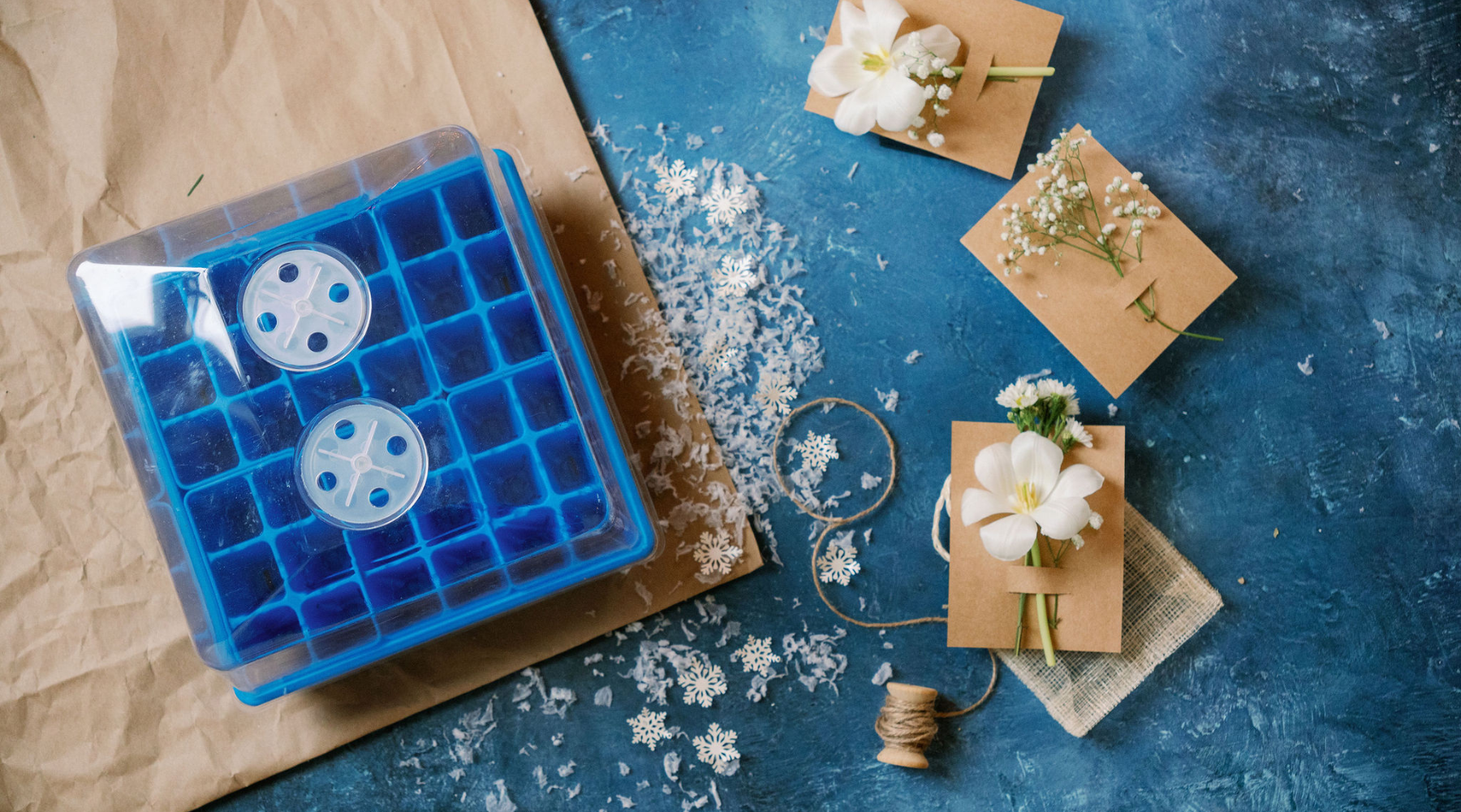 Blue seed starting gift kit presented with flowers and snow