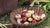 brown fabric grow bag on the left with a basket of harvested potatoes in a basket on the left. 