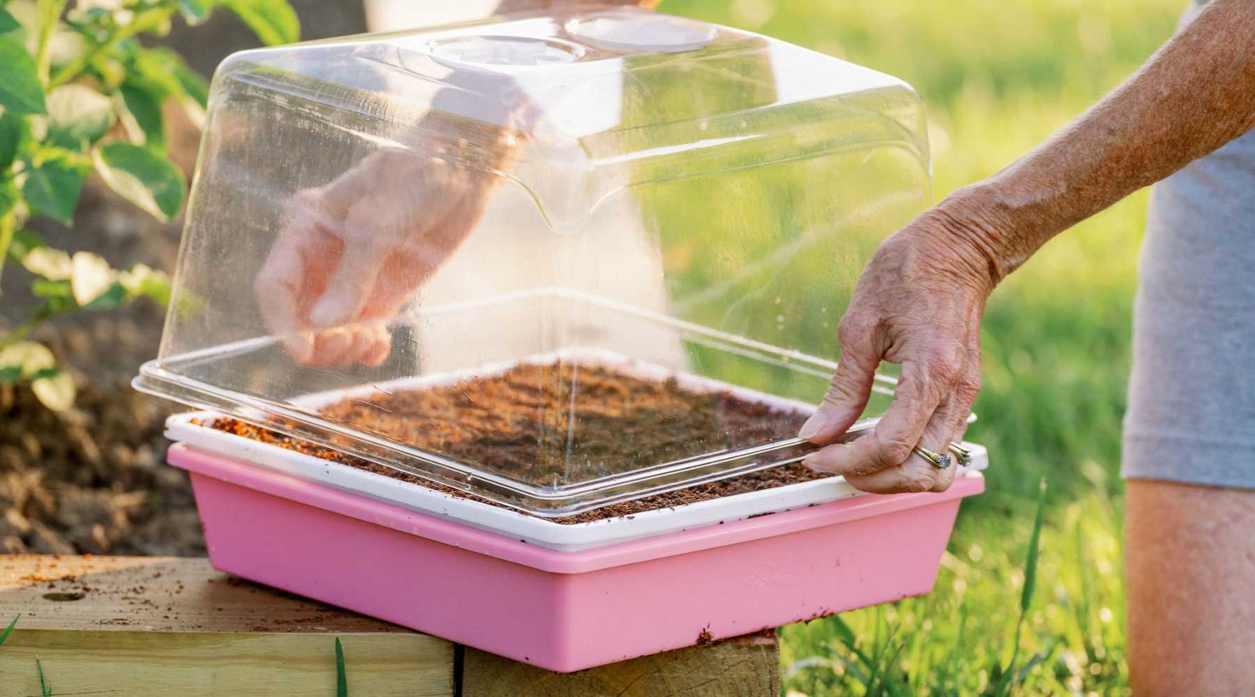 How and When to Use 10x10 microgreen trays