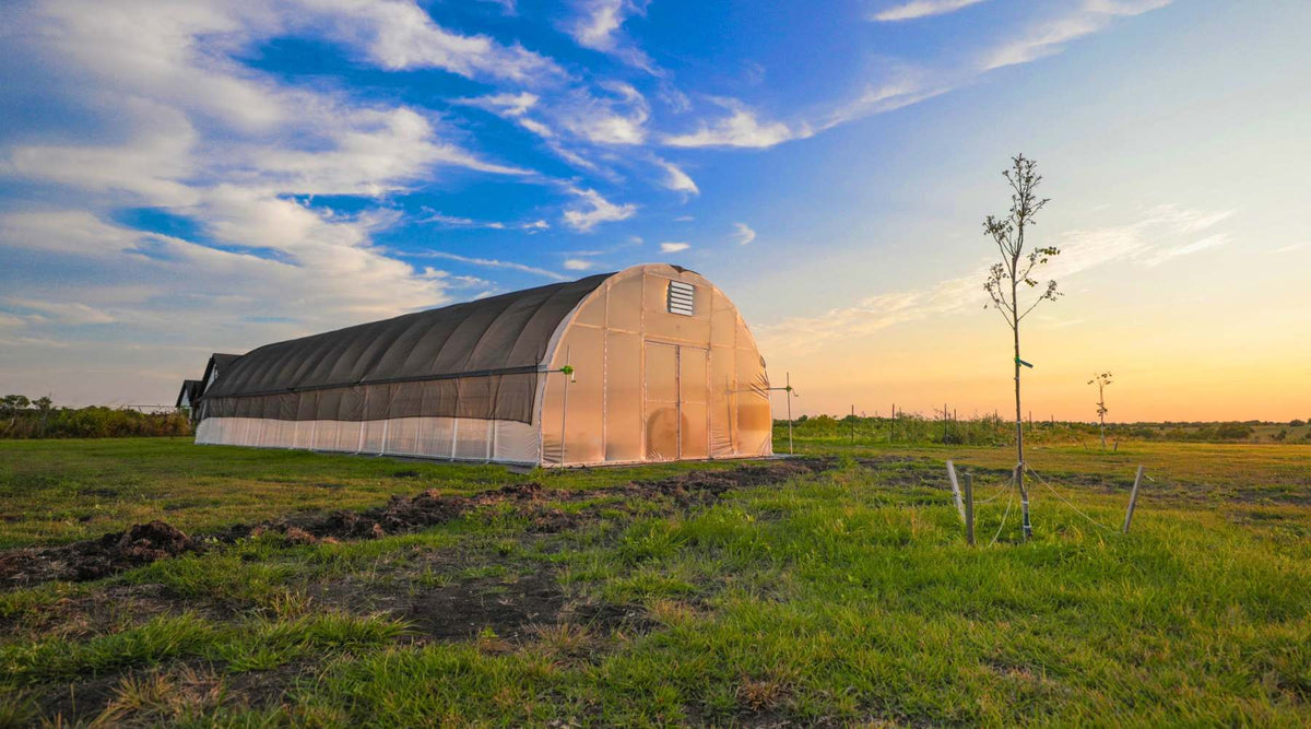A Bootstrap Farmer round high tunnel in a field at sunset with black shade cloth. 