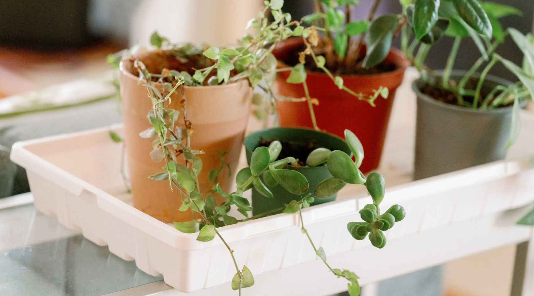 ferm living plant box klein Plant Box – OsloDeco main image 1