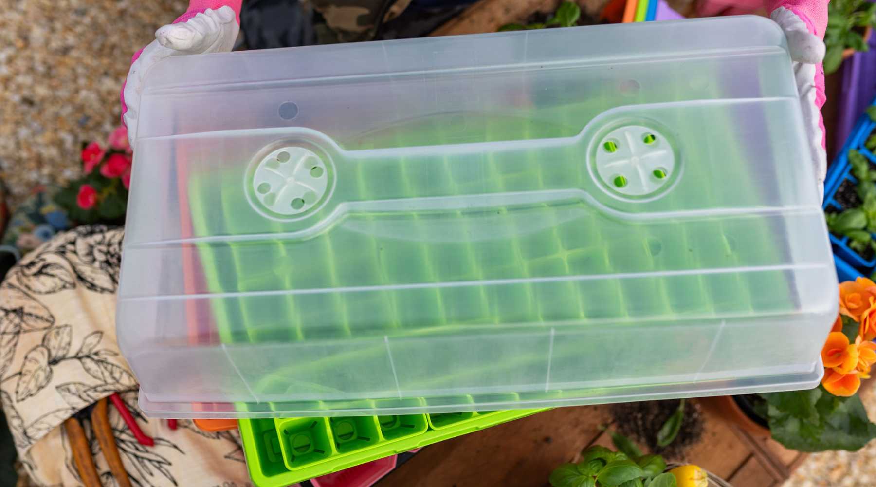 Microgreen tray with humidity dome