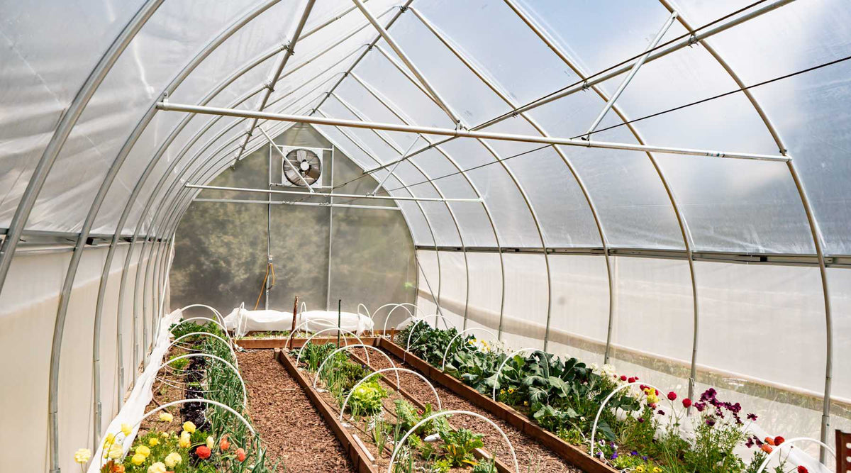 Inside Crops How to Start a CSA Business for Growers and Farmers - Bootstrap Farmer