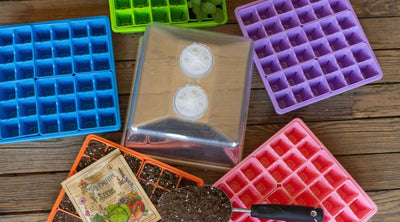 How to Make Money on Your Homestead