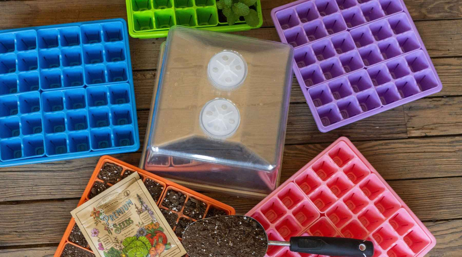 Green, blue, purple, pink, orange 1010 trays with 6 cells