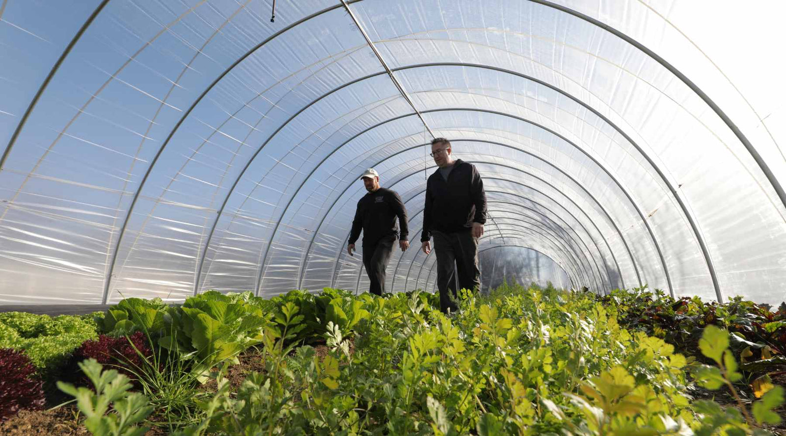 Dallas Half Acre on Farming without running water