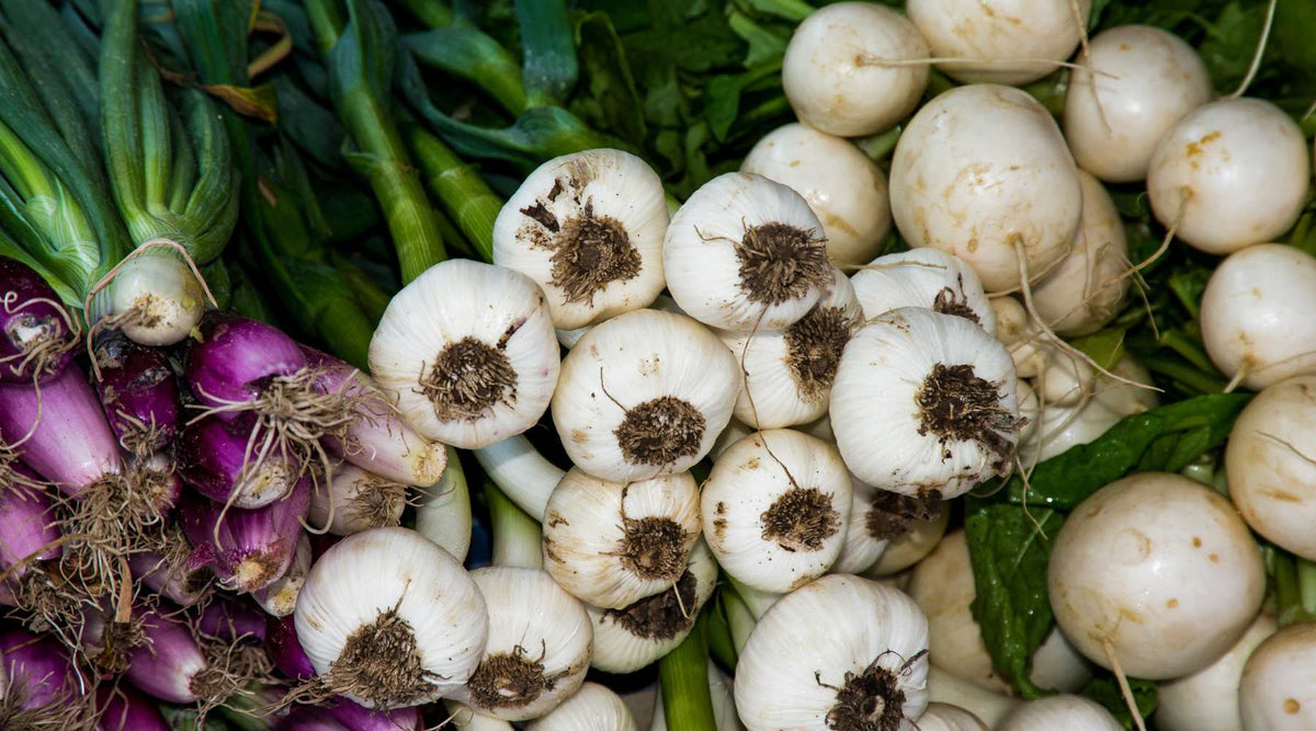food preservation