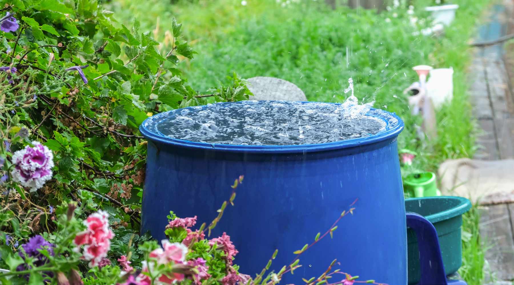 Building Your Own Rainwater Collection System - Bootstrap Farmer