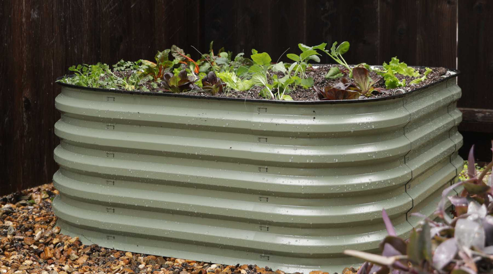 Using Coconut Coir to Maximize Growth in Raised Beds
