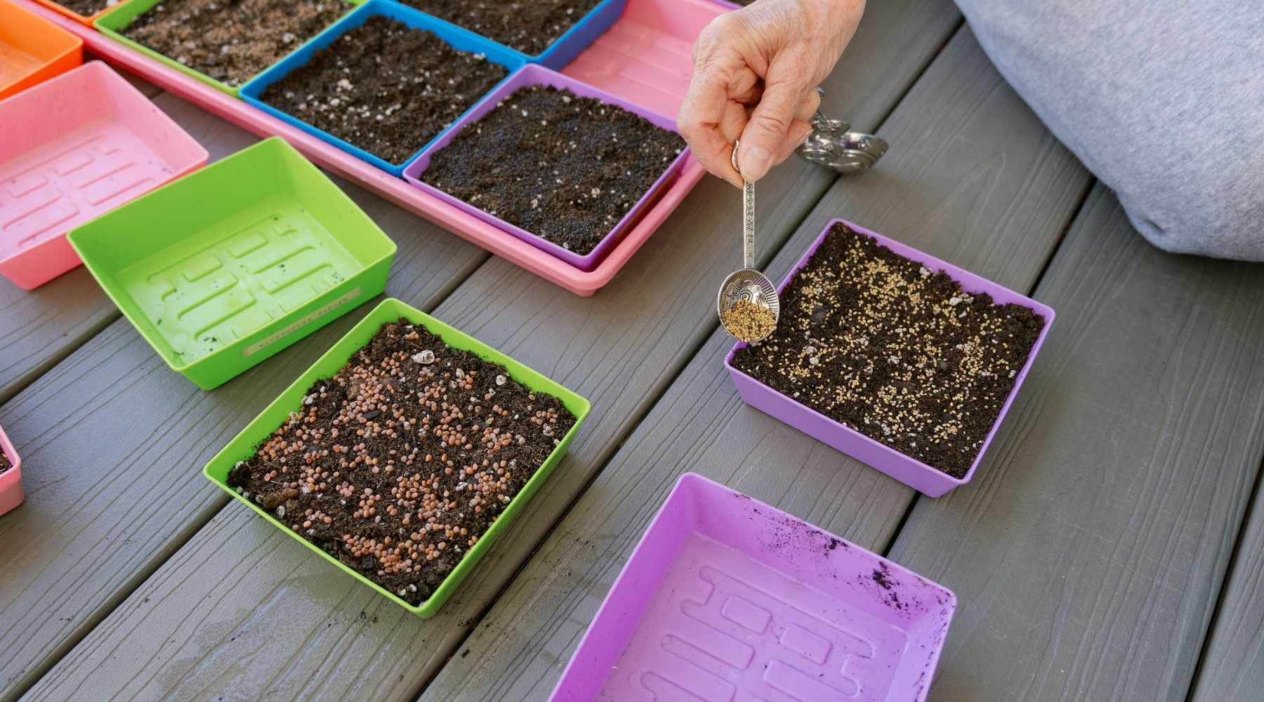 5x5 Microgreen trays in purple, green, pink, and blue being planted by ...