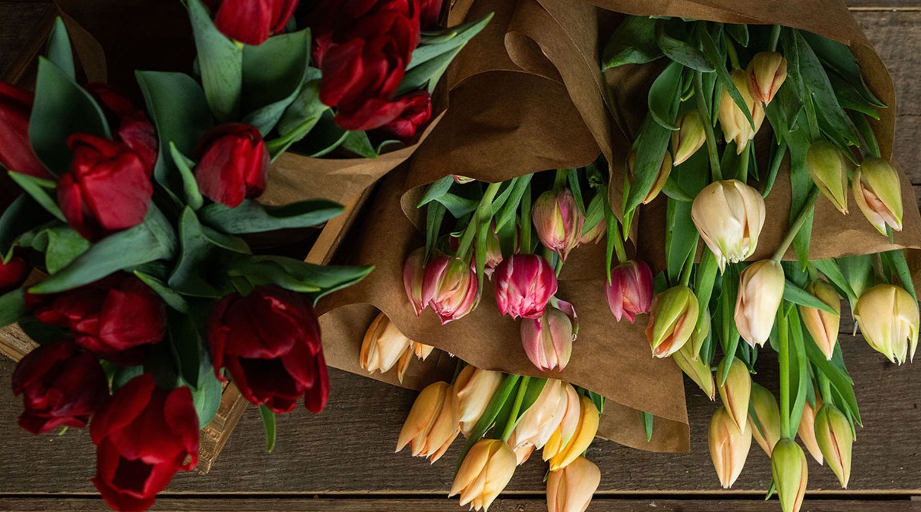 Tulip harvested and arranged into bouquets and wrapped in kraft paper