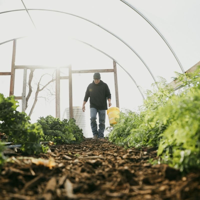 DIY Hoop House Kits