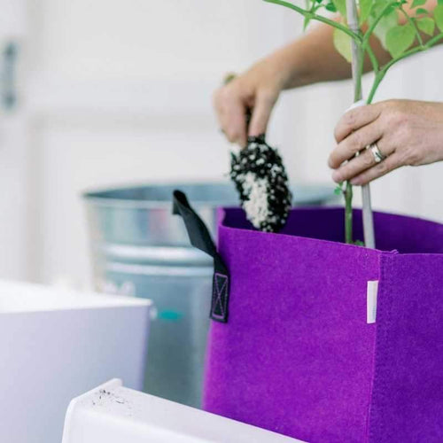 Grow Bags for Indoor and Outdoor Plants