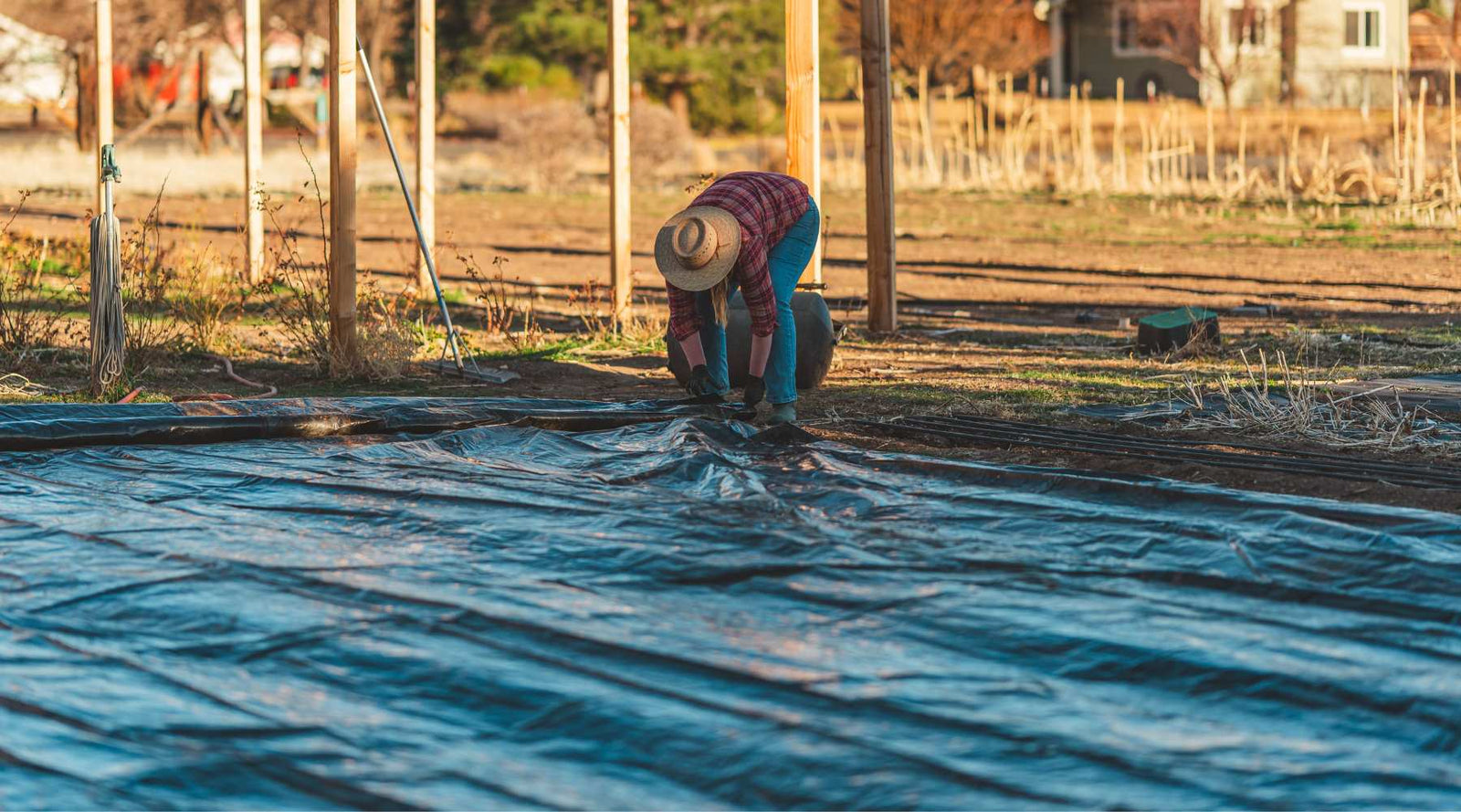 Silage Tarps for Weed Control