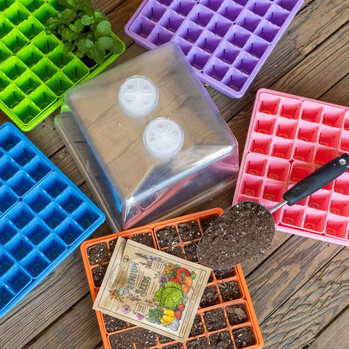 Seed Starter Kits & Bundles