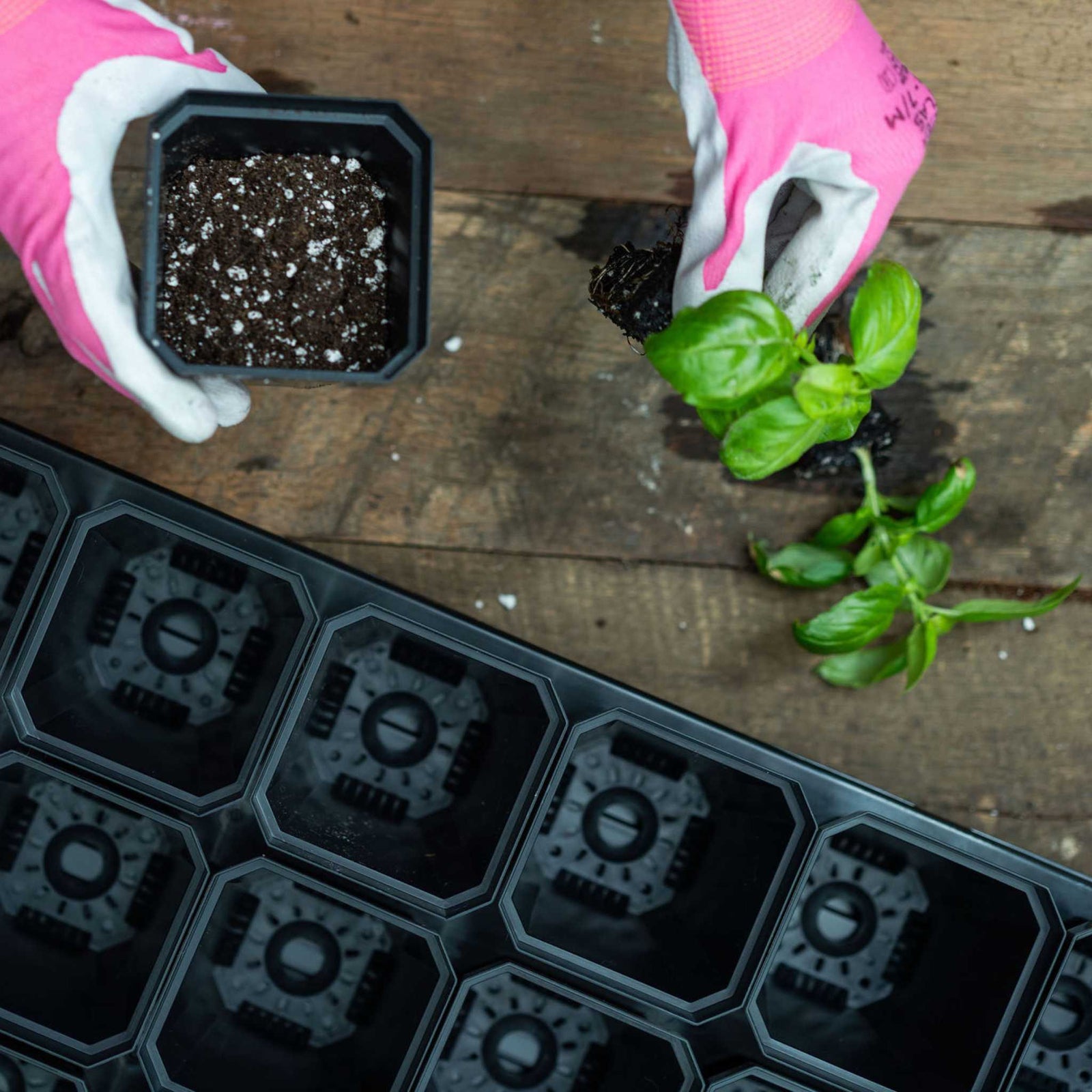Starter Pots and Greenhouse Containers