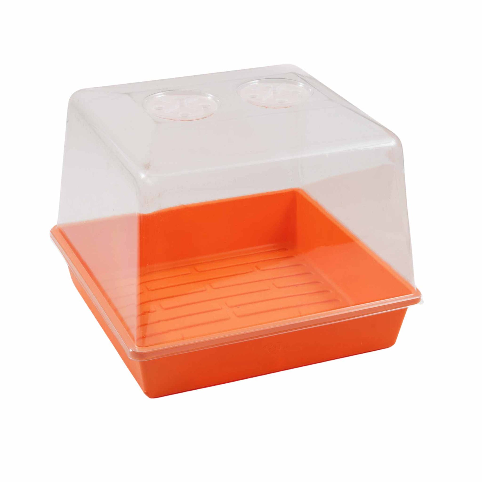 1010 Dome on 1010 orange tray