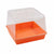 1010 Dome on 1010 orange tray