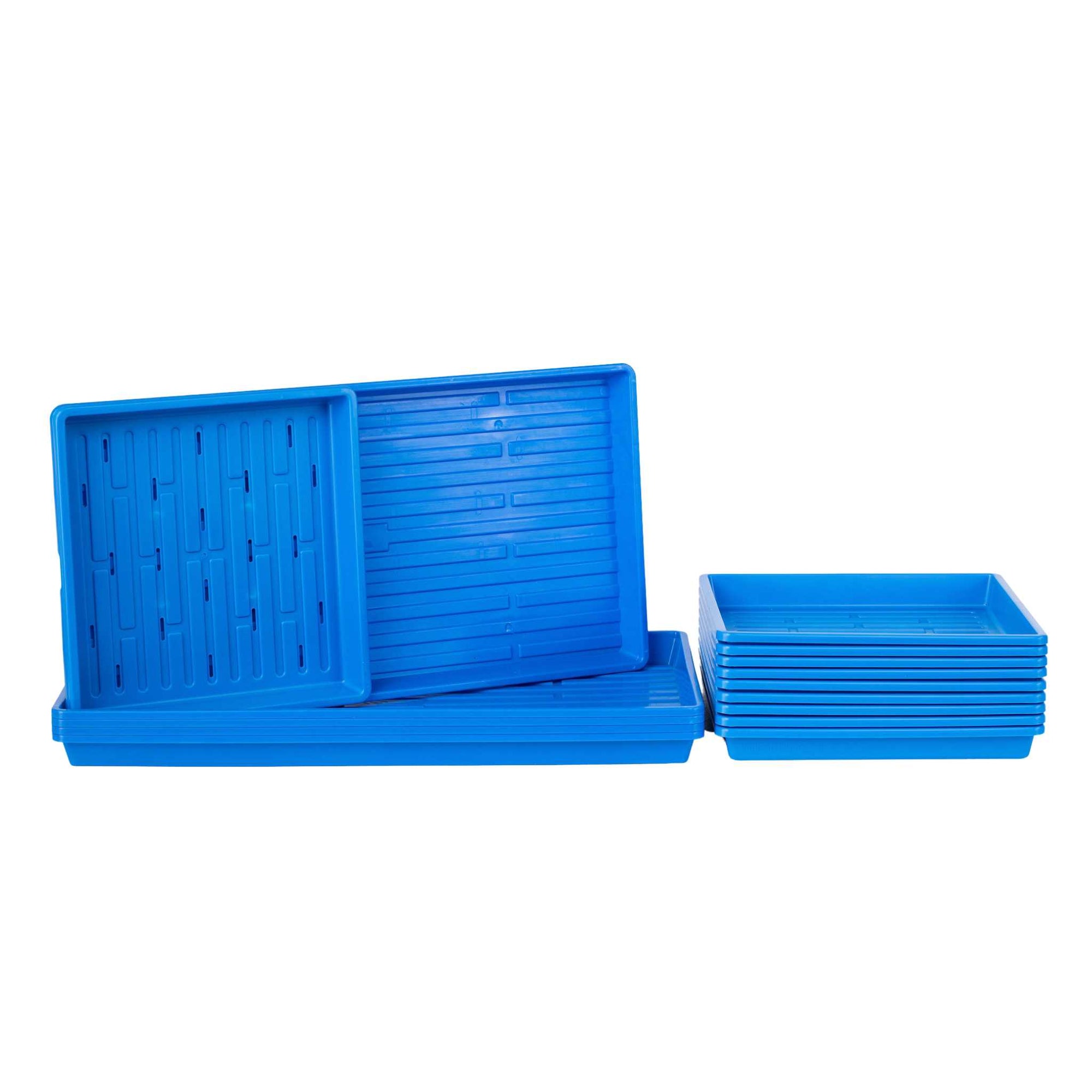 1010 Kit Blue
