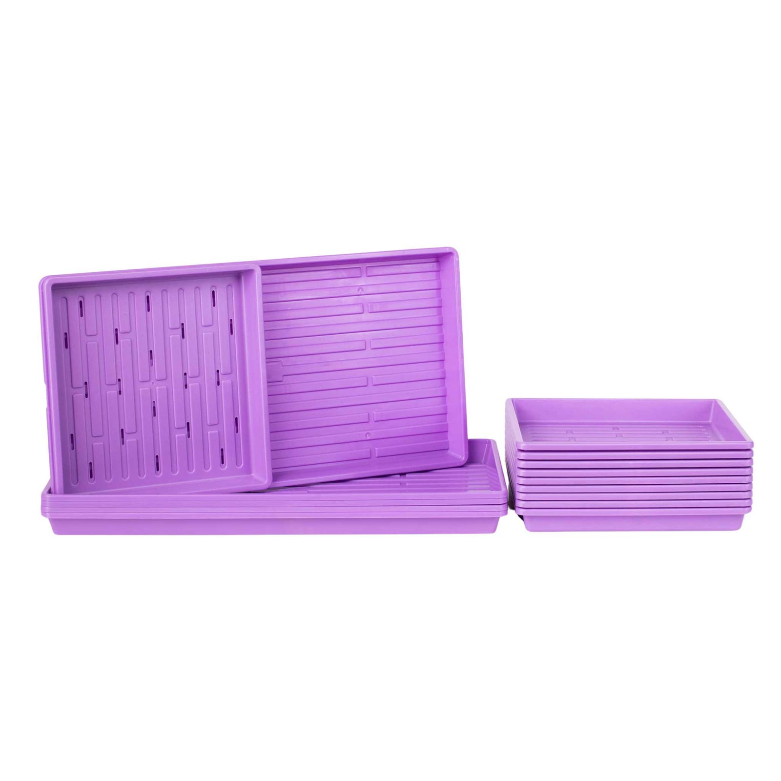 1010 microgreens kit purple 