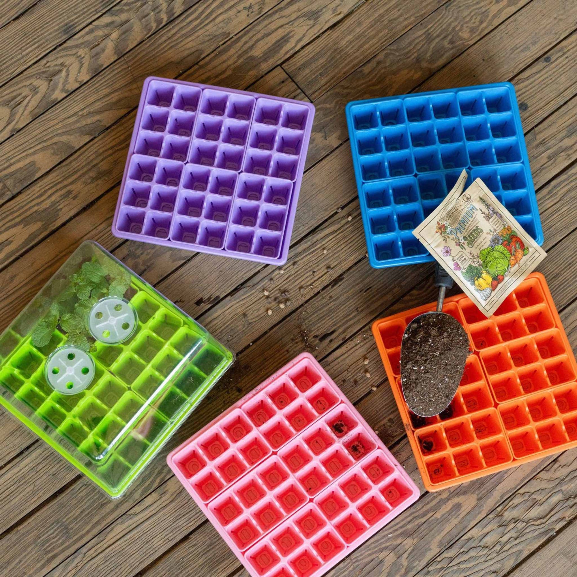 1010 seed trays with 6 cells in orange, purple, blue, green, and pink.