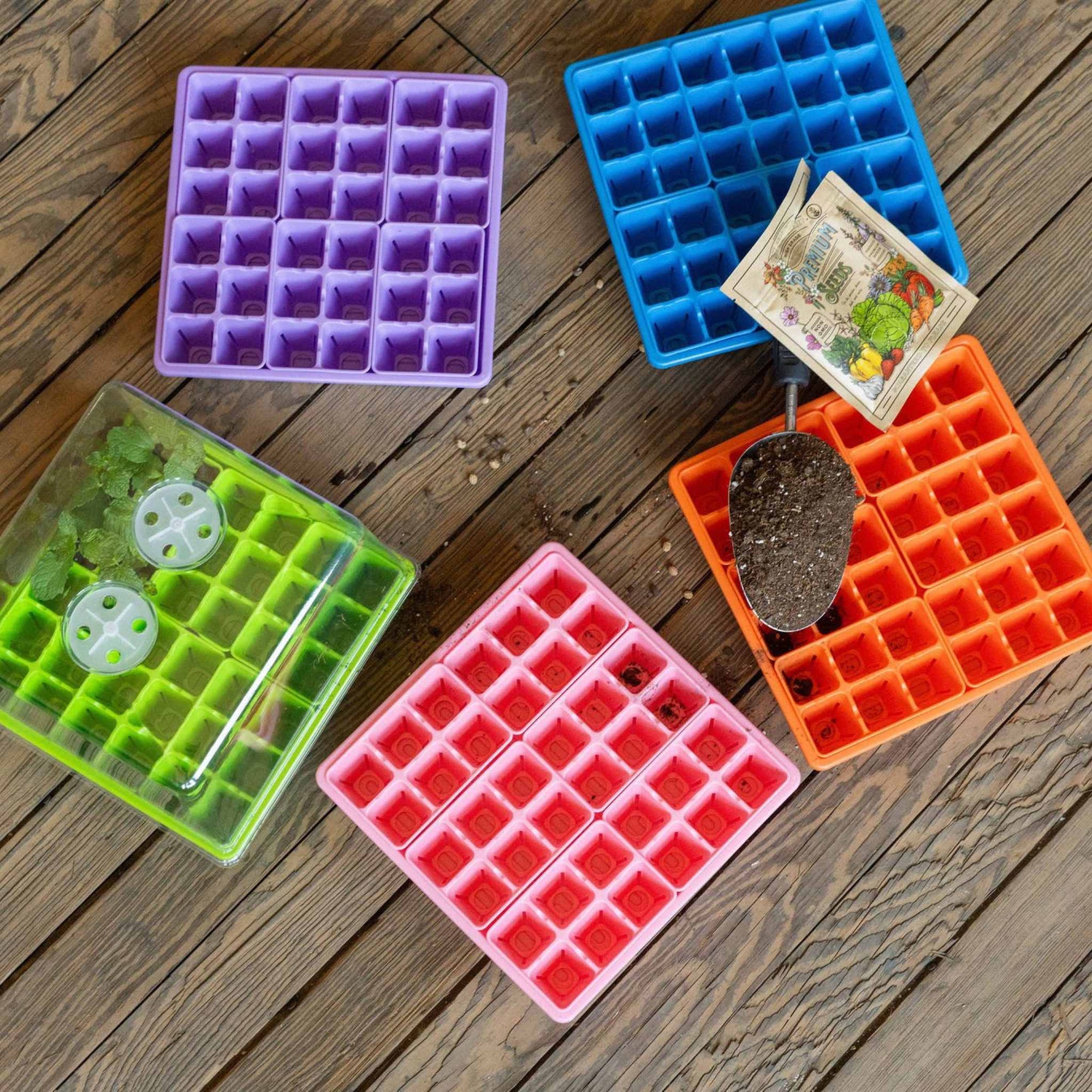 1010 Seed Starting Kits in Purple, Blue, Green, Pink, and Orange