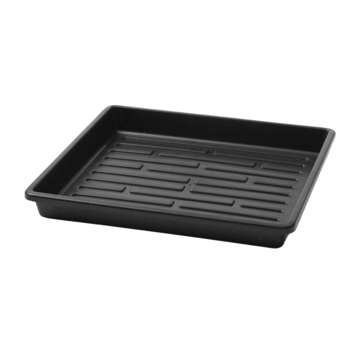 Shallow 1010 Tray No Holes for microgreens