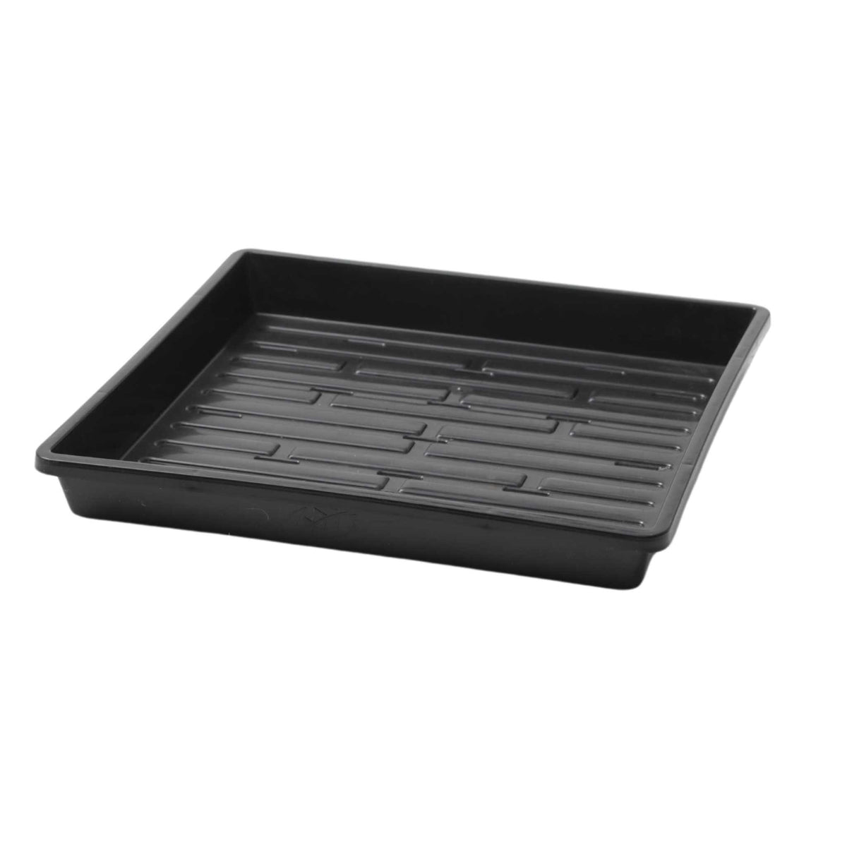 1010 Shallow Tray With Holes
