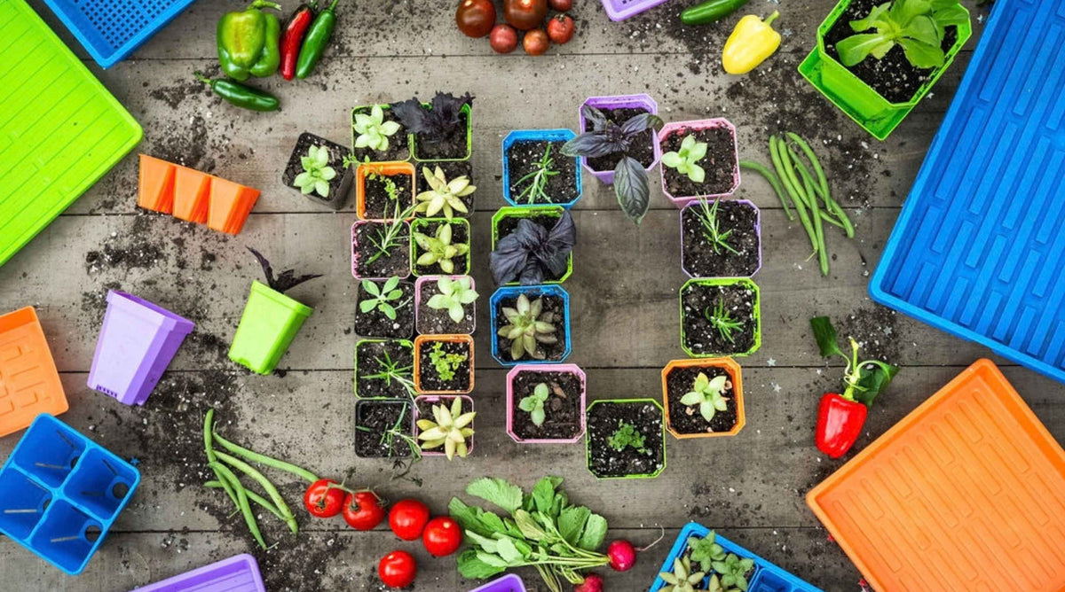 Potted herbs and succulents shaped into a 10 for our 10th anniversary, surrounded by USA-made 1020 trays, 1010 trays, and pots.