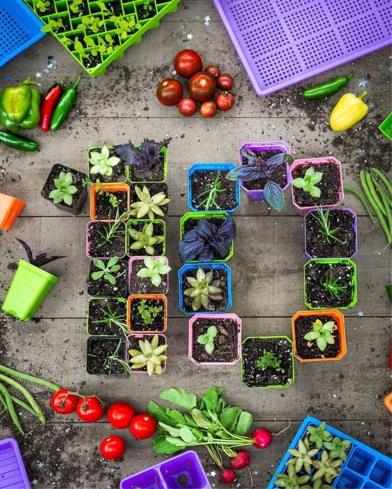 Potted herbs and succulents shaped into a 10 for our 10th anniversary, surrounded by USA-made 1020 trays, 1010 trays, and pots.