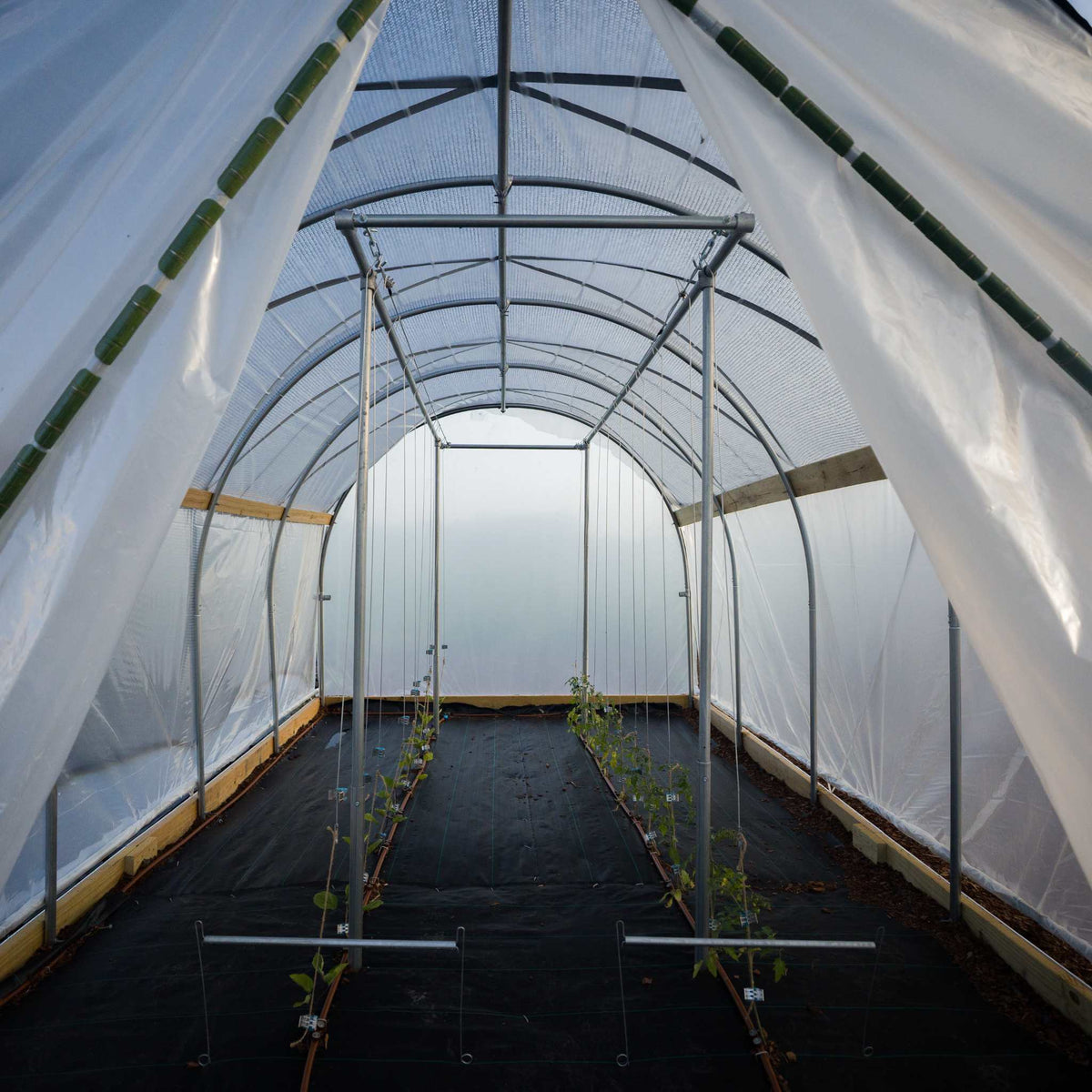 Essential 10' High tunnel with scissor door