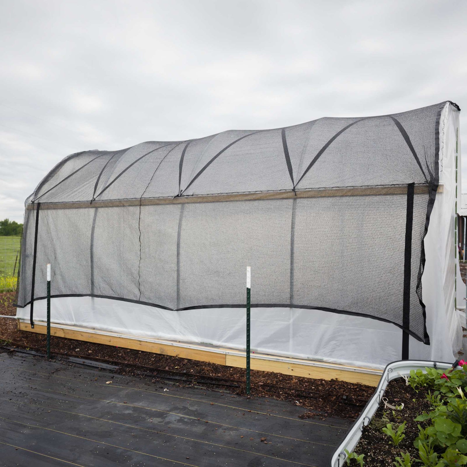 Essential 10' High tunnel side angle