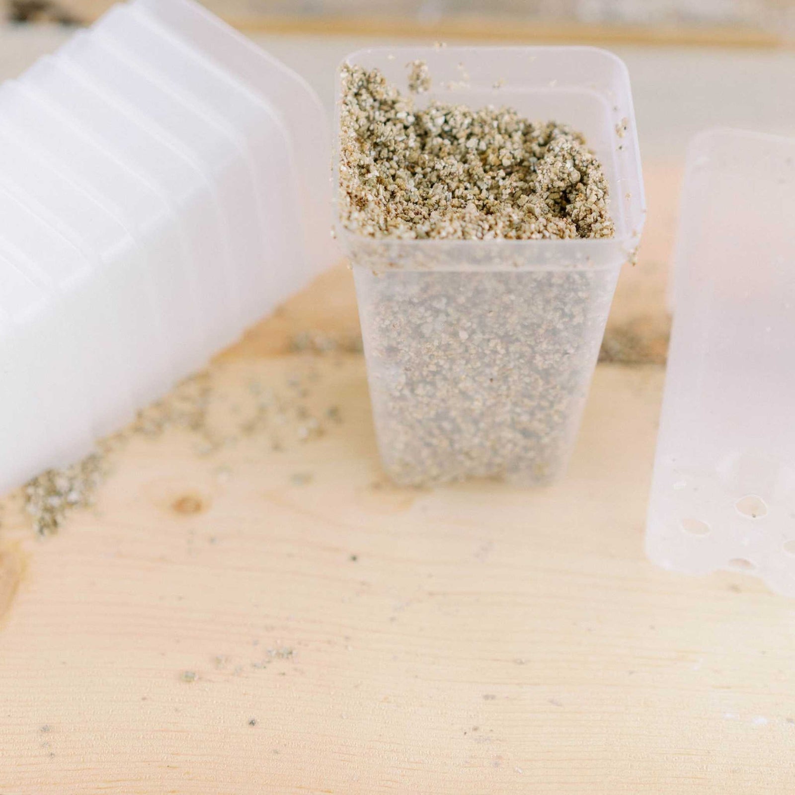 2.5 Clear Pot with Soil-less Media on a table with other clear pots around it.