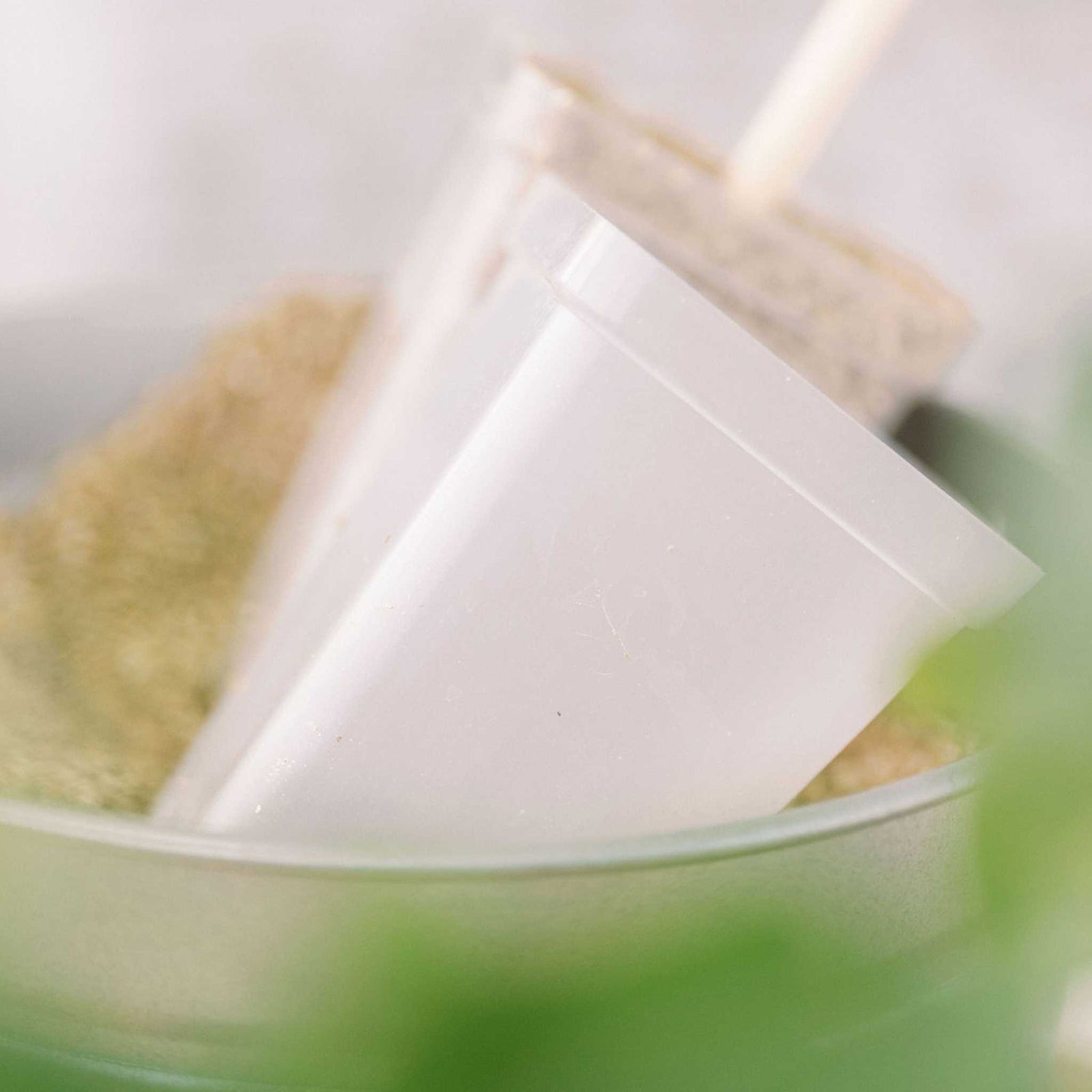 Closeup of Bootstrap Farmer Clear 2.5" Seed Starting Pot with Logo Facing