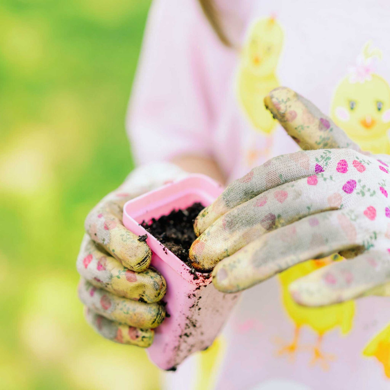 PInk 2.5 Seed Starting Pot Lifestyle