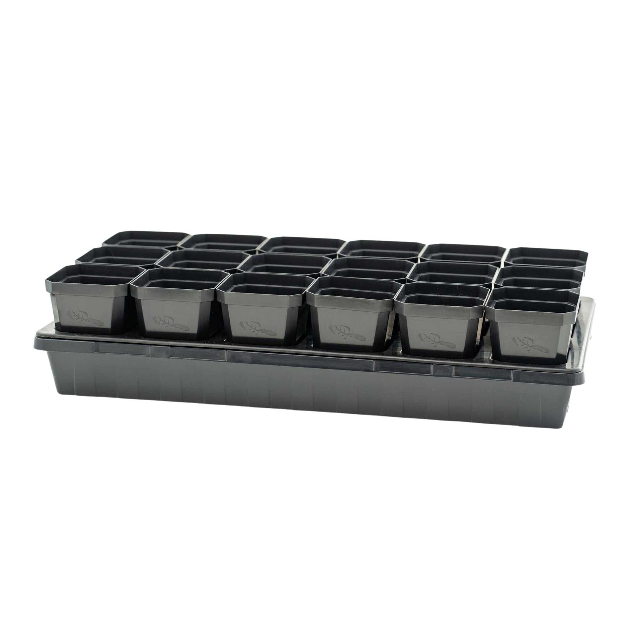 3 in pots and insert in 1020 black tray