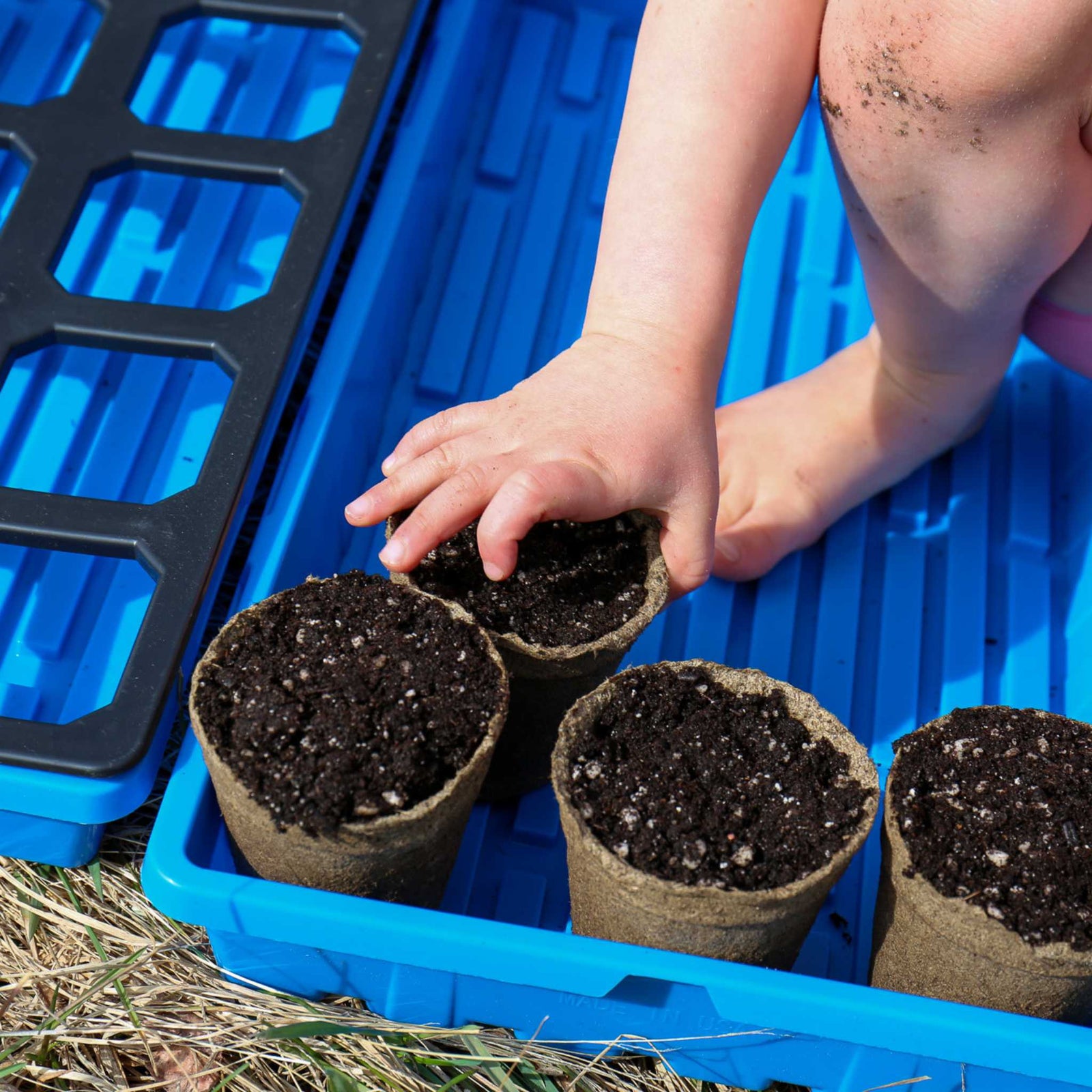 3 in round cowpots in 1020 blue tray